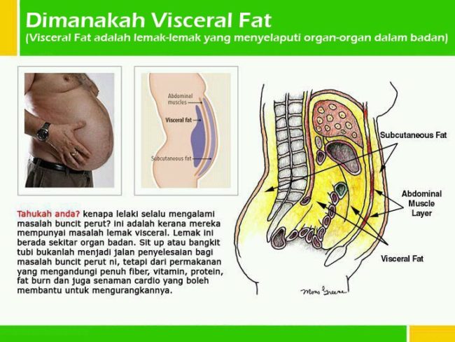 Olahraga Apa Yang Bisa Membakar Lemak - Tanda Kalori yang Terbakar 2